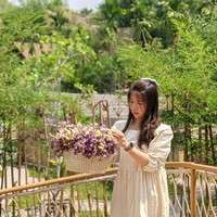 testimonials our clients