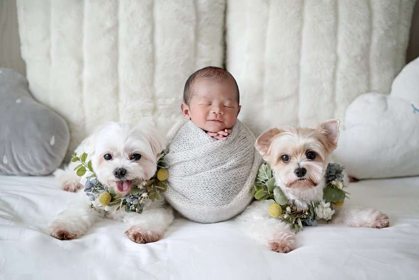 ถ่ายภาพเด็กแรกเกิด และน้องสุนัข